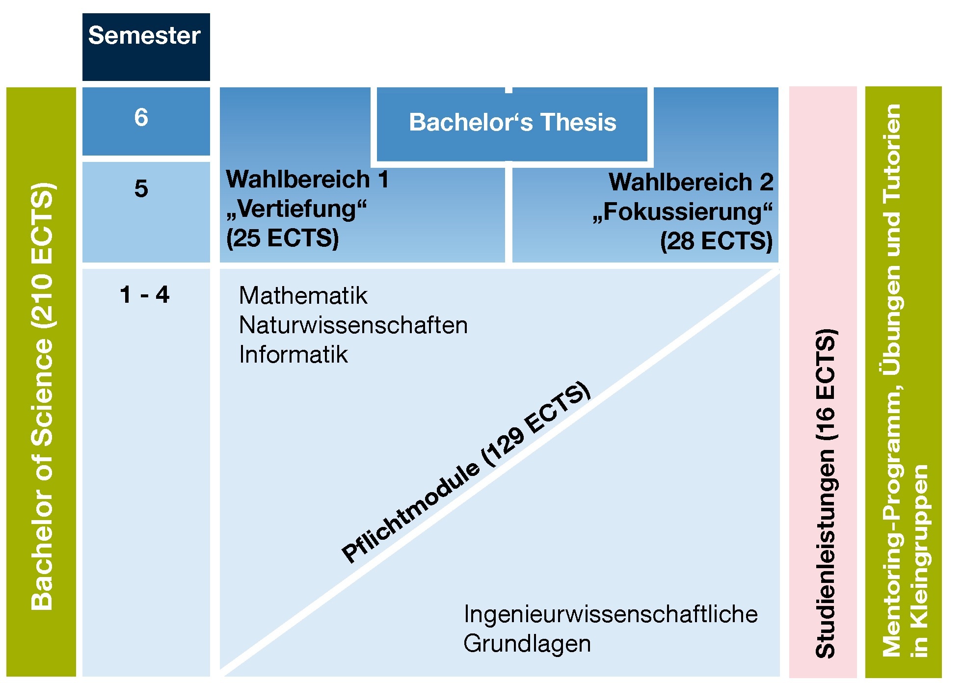 Studienaufbau Gemäß FPSO 2010 Und 2019 (Studienbeginn Vor WS 24/25 ...